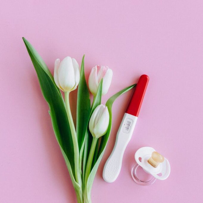 white and pink tulips on pink surface